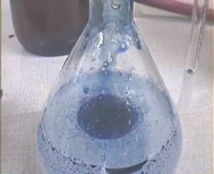 Óleo essencial destilado de camomila-azul. Créditos: nature-helps.com/Agora2000