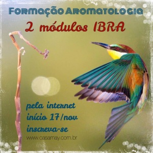 Formacao IBRA online Nov14