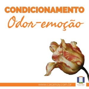 A imagem mostra a foto de uma tulipa branca com detalhes vermelhos e a frase: Condicionamento odor-emoção. Completam a imagem o desenho de uma janela aberta com floreira, que é o logo da Casa Máy, e o site www.casamay.com.br.