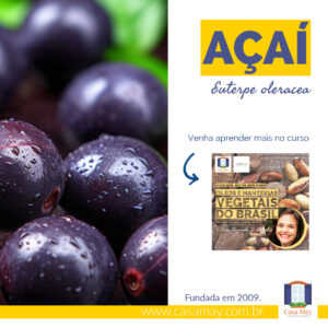 A imagem mostra o detalhe de uma foto de frutos frescos de açaí e a miniatura de um curso da Casa Máy. Lê-se: Açaí, Euterpe oleracea. Venha aprender mais no curso. Completam a imagem o desenho de uma janela aberta com floreira, que é o logo da Casa Máy, fundada em 2009, e o site www.casamay.com.br.