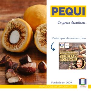 A imagem mostra um fruto do pequi cortado na metade mostrando sua polpa e semente e algumas sementes cortadas ao lado. Ainda a miniatura de divulgação do curso Óleos e manteigas vegetais do Brasil e a frase Pequi, Caryocar brasiliense. Completam a imagem o desenho de uma janela aberta com floreira, que é o logo da Casa Máy, fundada em 2009, e o site www.casamay.com.br.