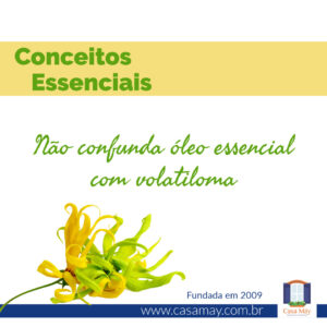 A imagem traz a foto de três flores de ylang ylang e a frase: Conceitos essenciais: não confunda óleo essencial com volatiloma