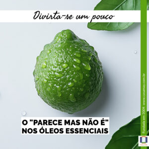 A imagem mostra o fruto da bergamota, com a casca verde intensa, molhada, no formato arredondado com biquinho e a frase: Divirta-se um pouco: o "parece mas não é" nos óleos essenciais. Completam a imagem o desenho de uma janela aberta com floreira, que é o logo da Casa Máy, fundada em 2009, e o site www.casamay.com.br.