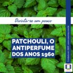 A imagem nostra um fundo formado de folhas de patchouli, que são verdes, com bordas serradas, pontiagudas e ranhuras aparentes no limbo. Está escrito: Divirta-se um pouco. Patchouli, o antiperfume dos anos 1960. Completam a imagem o desenho de uma janela aberta com floreira, que é o logo da Casa Máy, fundada em 2009, e o site www.casamay.com.br.