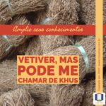 A imagem traz raízes secas de vetiver amarradas em maços com uma fita verde de cetim. Está escrito: Amplie seus conhecimentos: Vetiver, mas pode me chamar de khus. Completam a imagem o desenho de uma janela aberta com floreira, que é o logo da Casa Máy, fundada em 2009, e o site www.casamay.com.br.
