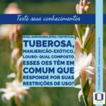 A imagem tem como fundo a foto de um ramo de tuberosa, com flores brancas em formas de pingentes virados para cima, rosáceos, sendo que alguns estão abertos com pétalas alongadas. Está escrito: Teste seus conhecimentos. rosa-damascena, rosa-centifólia, manjericão-exótico, louro. Qual composto esses OEs têm em comum que responde por suas restrições de uso? Completam a imagem o desenho de uma janela aberta com floreira, que é o logo da Casa Máy, fundada em 2009, e o site www.casamay.com.br.